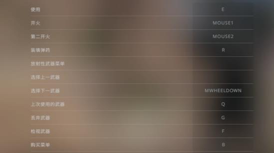 csgo捡枪键是use怎么调成e