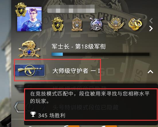 csgo官匹怎么看别人段位